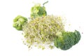 Organic Broccoli Sprouts And Bouquets Royalty Free Stock Photo
