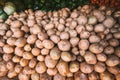 Organic Brown Potatoes On Local Agricultural Vegetable Market. Autumn Harvest Potatoes Background. Royalty Free Stock Photo