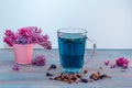 Organic Butterfly pea flowers blue Anchan tea