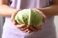 Organic cabbage holding by woman hand