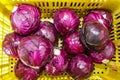 Organic cabbage of purple color, several heads Royalty Free Stock Photo