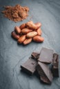 Organic cacao beans, cacao powder and chocolate on a black stone background Royalty Free Stock Photo