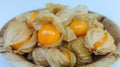 Organic cape gooseberry fruit (Physalis peruviana) in betel palm plate Royalty Free Stock Photo