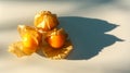 Organic cape gooseberry fruit (Physalis peruviana) on white background Royalty Free Stock Photo