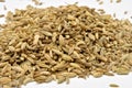 organic caraway seed