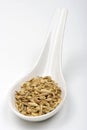 organic caraway seed and a white background