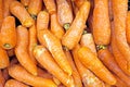 Organic carots in a market stall Royalty Free Stock Photo