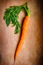 Organic carrot Royalty Free Stock Photo