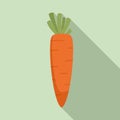 Organic carrot icon, flat style