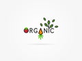 Organic with carrot linear vector illustration
