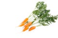 Carrot vegetable with leaves isolated on white background cutout Royalty Free Stock Photo