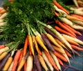 Organic Carrots Royalty Free Stock Photo