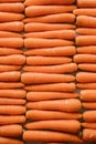 Organic carrots as texture and background. Top view. Organic and healthy food.