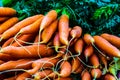 Organic Carrots on Display at Farmers Market