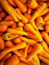 Organic carrots for sale. Fresh organic carrots at the farmers market. Royalty Free Stock Photo