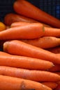 organic carrots for sale in the local market Royalty Free Stock Photo