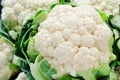 Organic Cauliflower Royalty Free Stock Photo