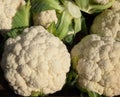 Organic Cauliflower Royalty Free Stock Photo