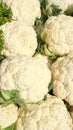 Organic Cauliflower Royalty Free Stock Photo
