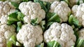Organic cauliflower texture ideal for background design, creative projects, and artistic endeavors Royalty Free Stock Photo