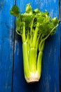 Organic celery Royalty Free Stock Photo