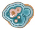 Organic Cell Cross Section. Medical Science And Research