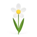 Organic chamomile natural flower botanical blossom summer spring plant 3d icon realistic vector