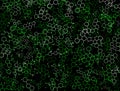 Organic chemistry symbols green background texture Royalty Free Stock Photo
