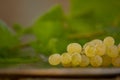 Organic Chenin Blanc Wine Grapes in California Royalty Free Stock Photo