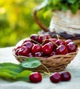 Organic cherries Royalty Free Stock Photo