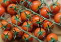 Organic cherry tomato