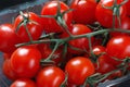 Organic cherry tomatoes Royalty Free Stock Photo