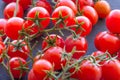 Organic Cherry Tomatoes Royalty Free Stock Photo