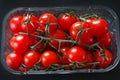 Organic cherry tomatoes Royalty Free Stock Photo