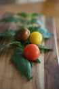 Organic Cherry Tomatoes Royalty Free Stock Photo