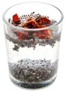 Organic Chia Seed in water Royalty Free Stock Photo