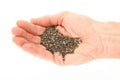 Organic Chia Seeds In Hand