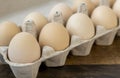 Organic chicken eggs, in a cardboard tray, close up. Royalty Free Stock Photo