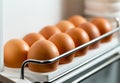 Organic Chicken Eggs Keep Fresh In The Fridge. Brown eggs in the tray. Organic Chicken Eggs Keep Fresh In The Fridge.