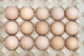 Organic chicken eggs in tray Easter