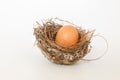 Organic chicken fresh eggs in the nest. Royalty Free Stock Photo