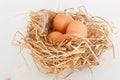 Organic chicken fresh eggs in the straw nest. Royalty Free Stock Photo
