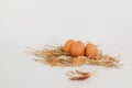 Organic chicken fresh three eggs in the straw nest. Royalty Free Stock Photo