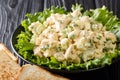 Organic chicken salad with celery, eggs seasoned with sauce closeup on a plate. horizontal Royalty Free Stock Photo