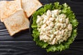 Organic chicken salad with celery, eggs seasoned with sauce closeup on a plate. Horizontal top view Royalty Free Stock Photo