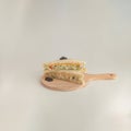 organic chicken salad sandwich with slice cheese on white background