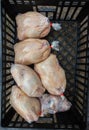 Organic Chickens Packed Abattoir Royalty Free Stock Photo
