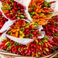 Organic chilli pepper on the market. Harvest, sale