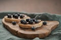 Organic chocolate hazelnut spread with fresh blueberries on ciabatta slices on wood board