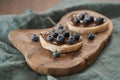 Organic chocolate hazelnut spread with fresh blueberries on ciabatta slices on wood board